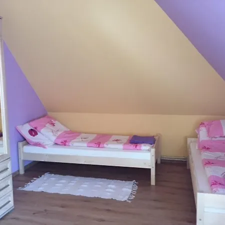 Sallai Vendeghaz * Jaszszentlaszlo