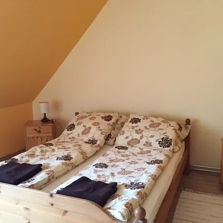 Sallai Vendeghaz Guest house Jaszszentlaszlo