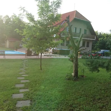 Sallai Vendeghaz Jaszszentlaszlo