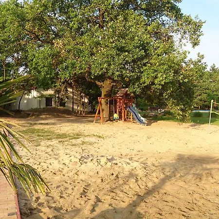 Sallai